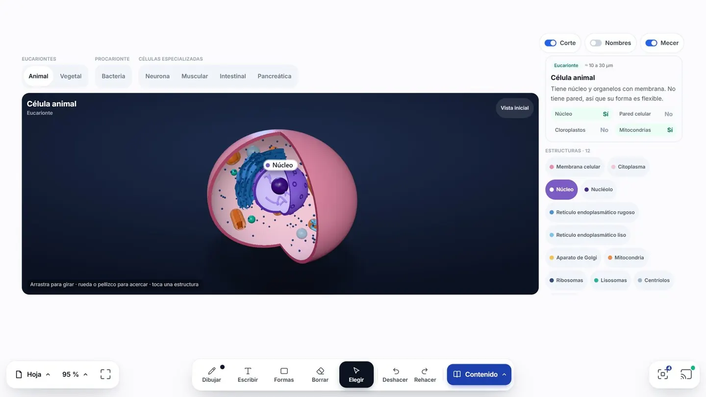 EDU21 Board: el simulador 3D de la célula animal, cortada para mostrar el núcleo y sus organelos