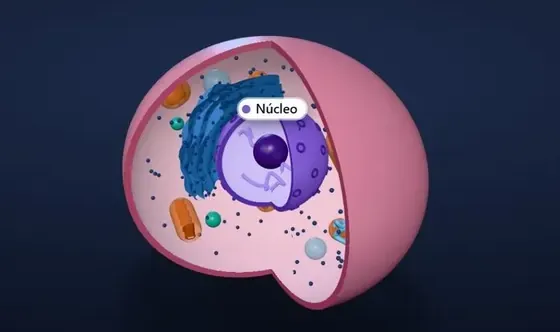 Simulador 3D de la célula animal en EDU21 Board, con el núcleo señalado