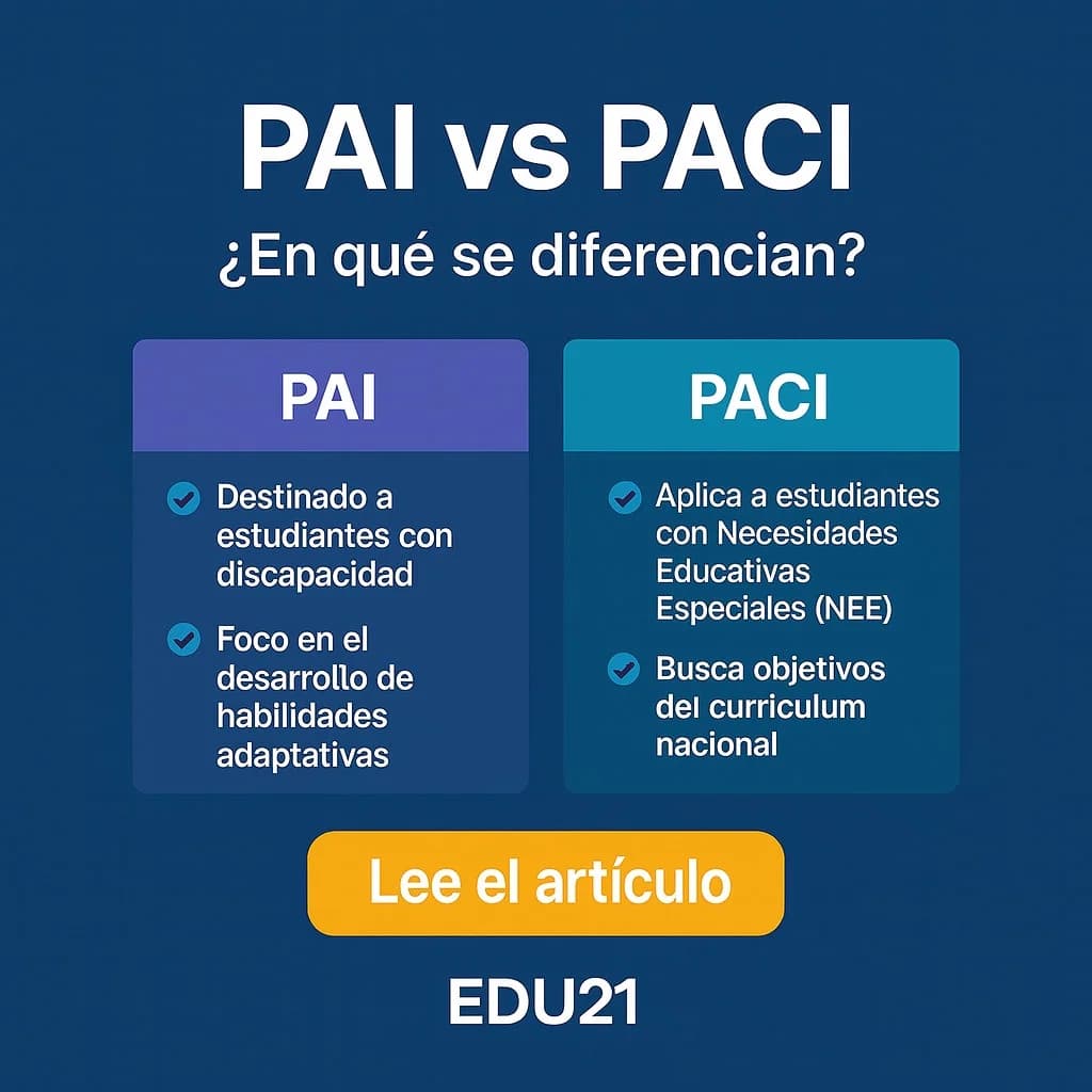 PAI y PACI en Chile - Plan de Apoyo Individual y Plan de Adecuación Curricular Individualizado